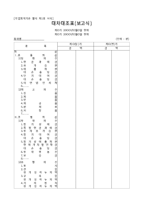대차대조표보고식 대차대조표보고식